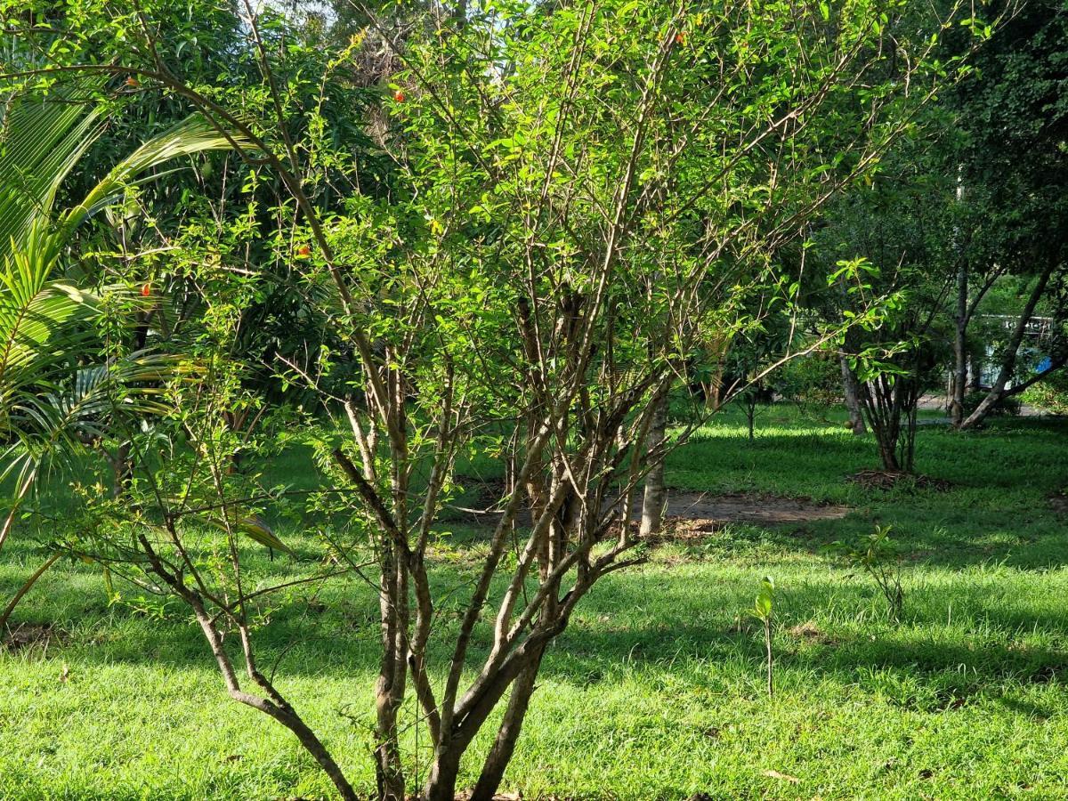 Sigiriya Cottage Zewnętrze zdjęcie