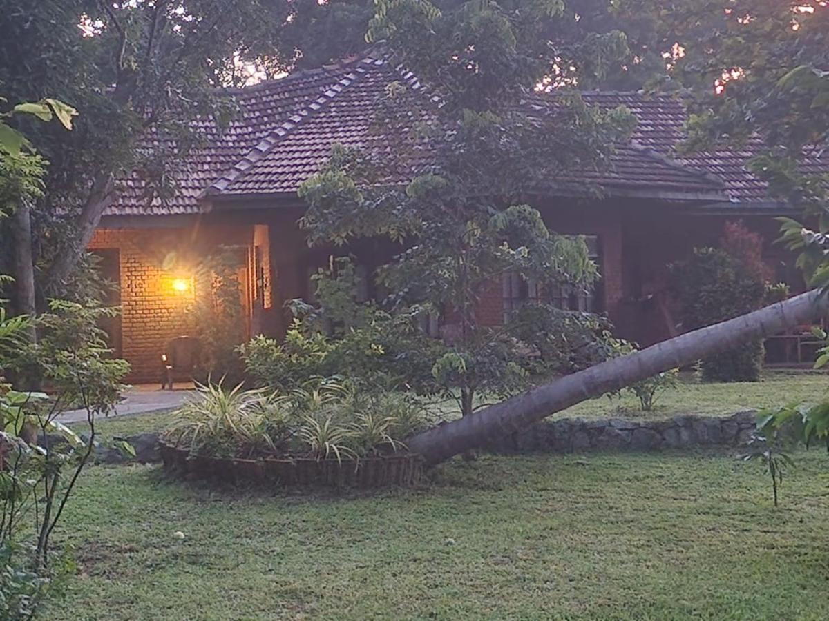 Sigiriya Cottage Zewnętrze zdjęcie