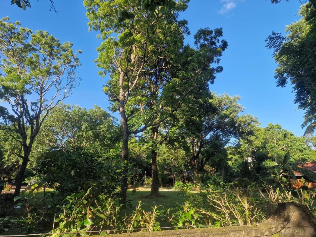 Sigiriya Cottage Zewnętrze zdjęcie