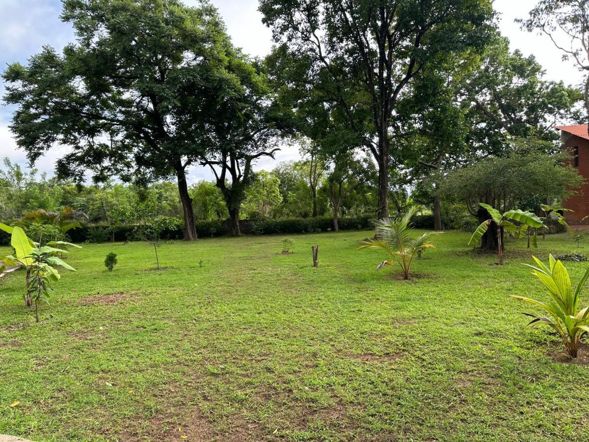 Sigiriya Cottage Zewnętrze zdjęcie
