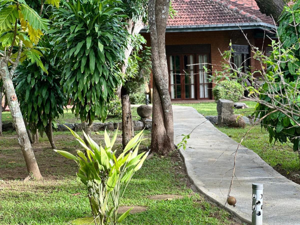 Sigiriya Cottage Zewnętrze zdjęcie