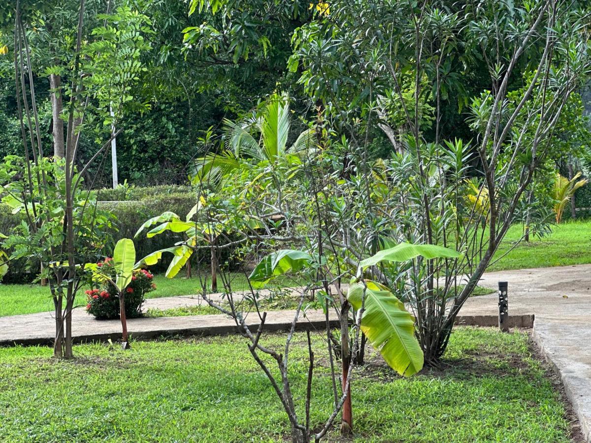 Sigiriya Cottage Zewnętrze zdjęcie