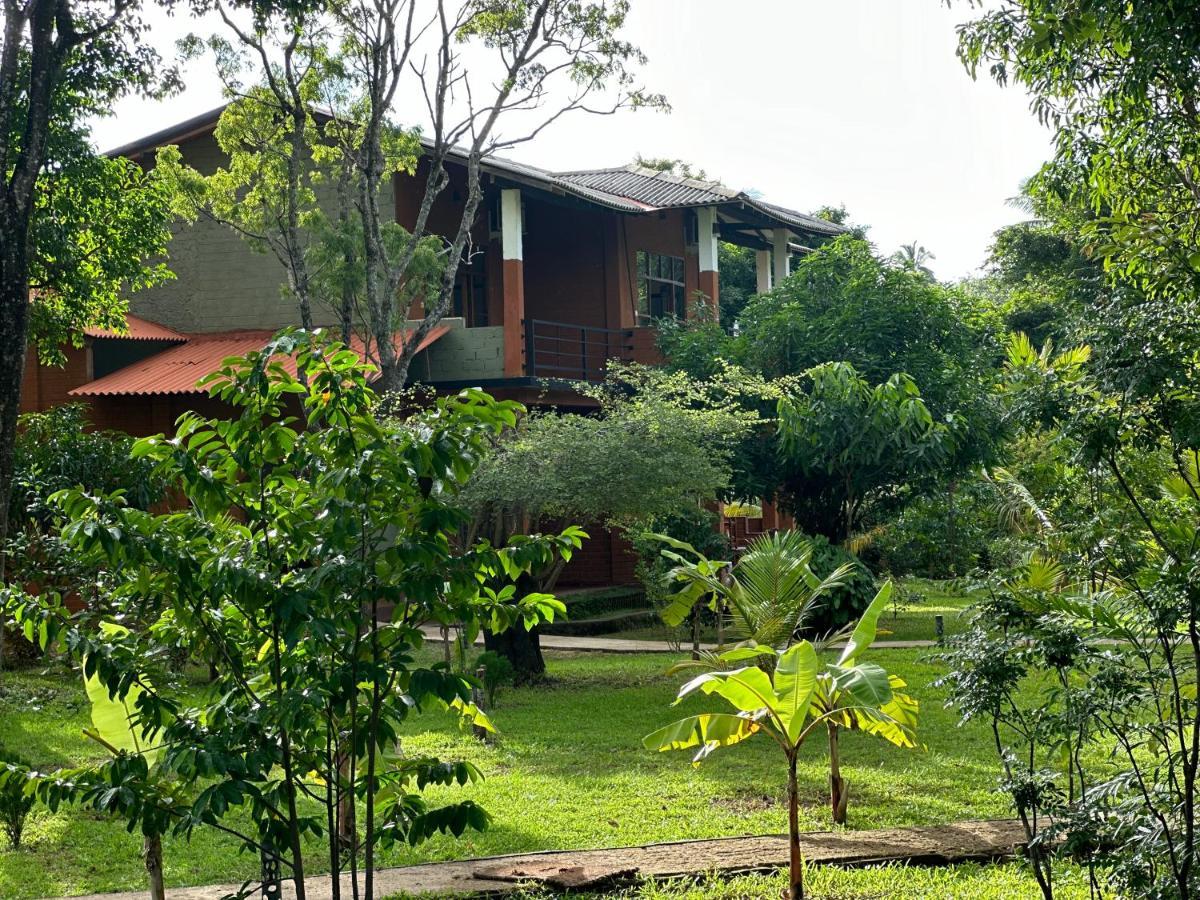 Sigiriya Cottage Zewnętrze zdjęcie