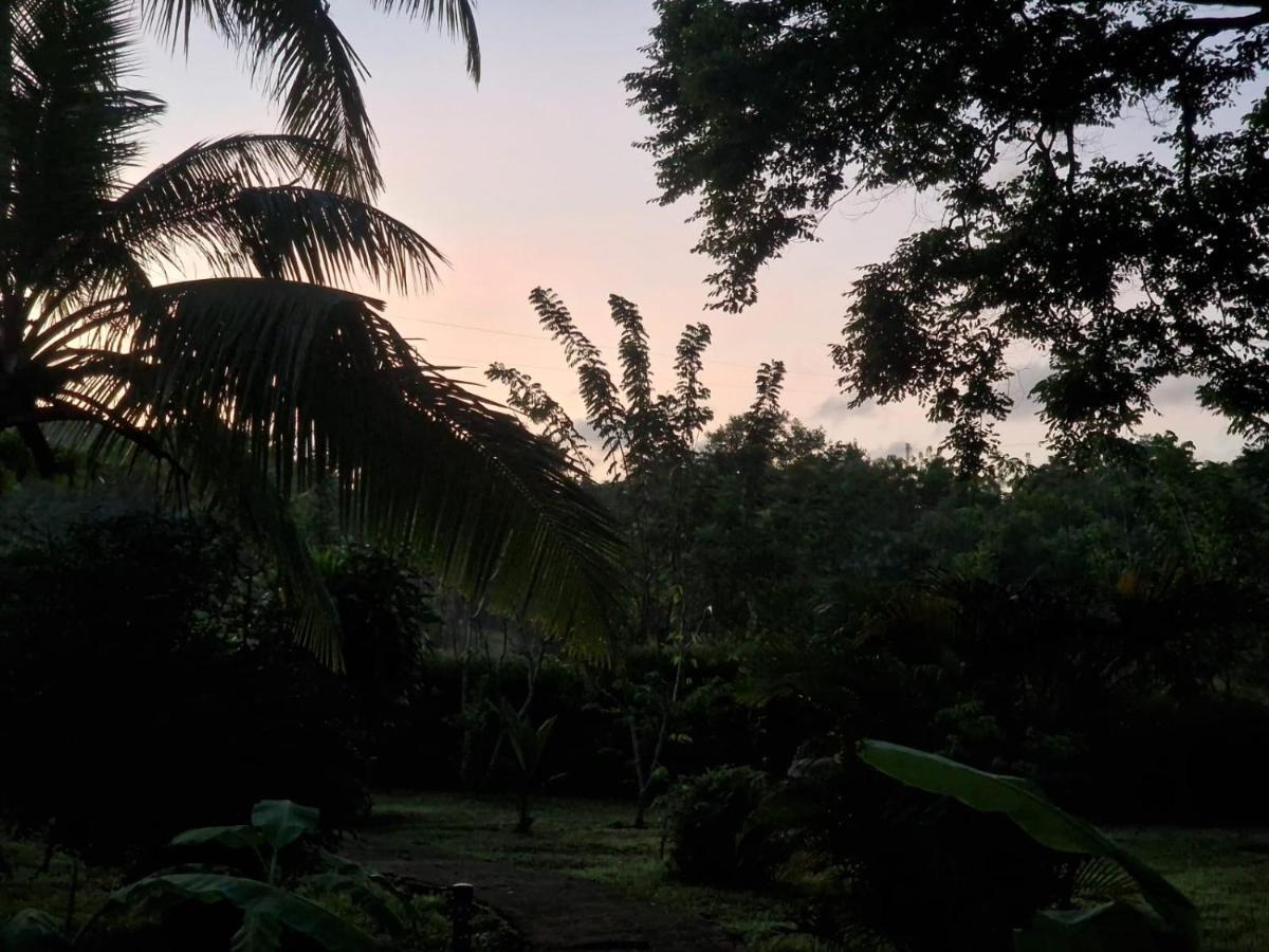 Sigiriya Cottage Zewnętrze zdjęcie