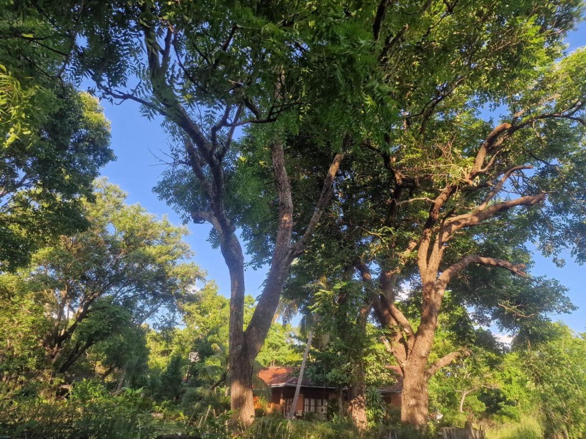 Sigiriya Cottage Zewnętrze zdjęcie