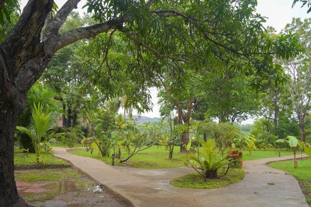 Sigiriya Cottage Zewnętrze zdjęcie