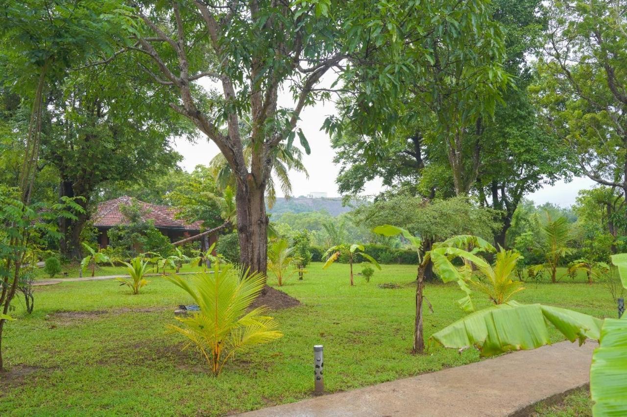 Sigiriya Cottage Zewnętrze zdjęcie