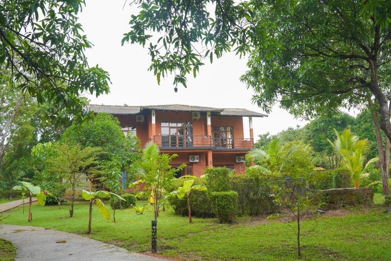Sigiriya Cottage Zewnętrze zdjęcie
