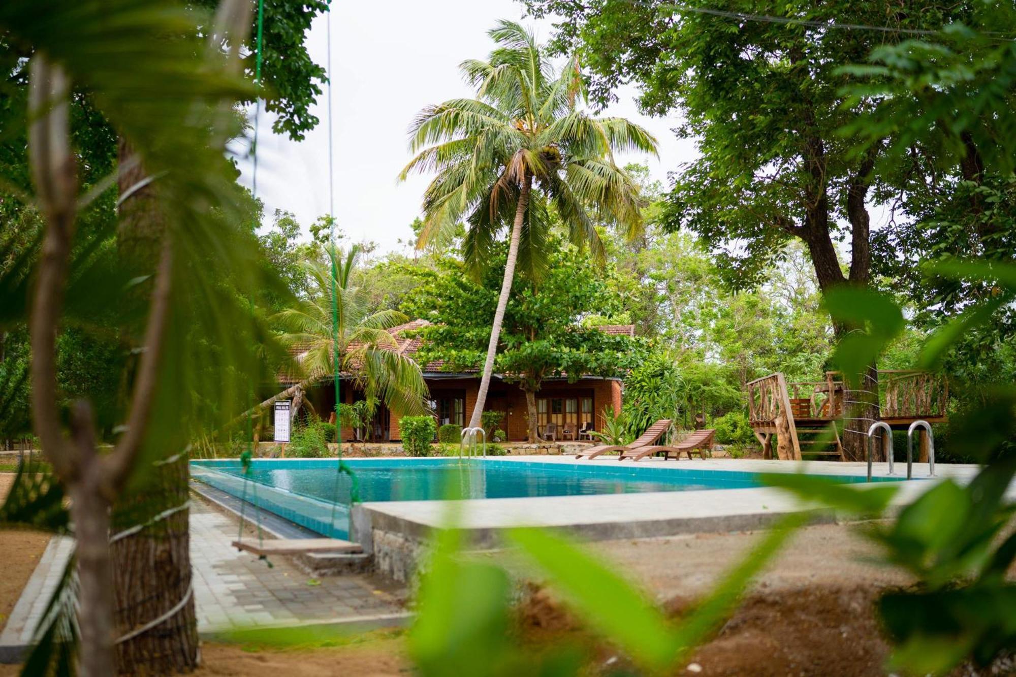 Sigiriya Cottage Zewnętrze zdjęcie