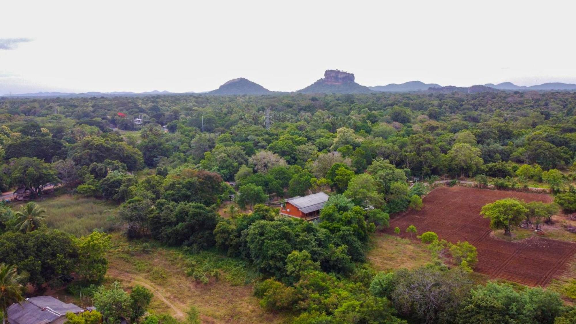 Sigiriya Cottage Zewnętrze zdjęcie